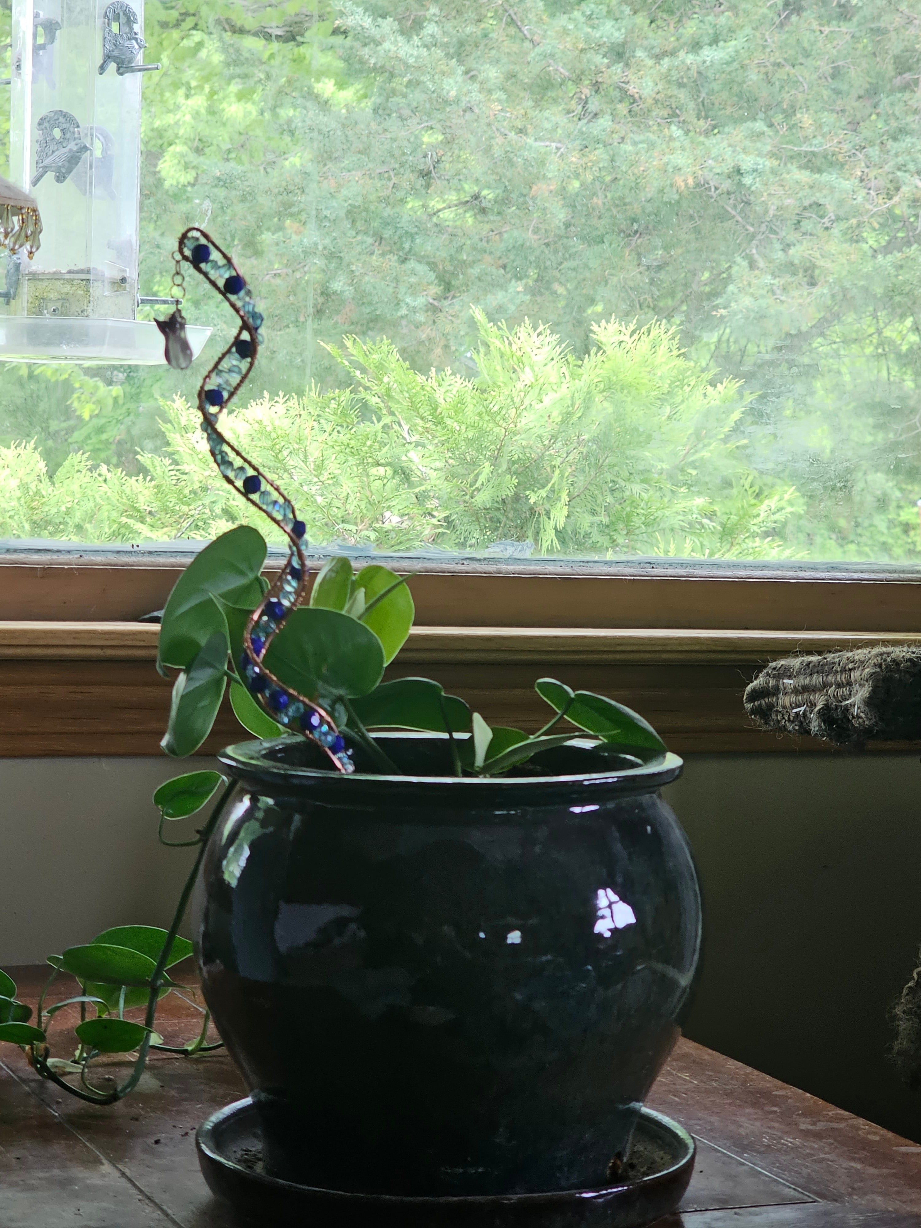 Blue DNA plant stake